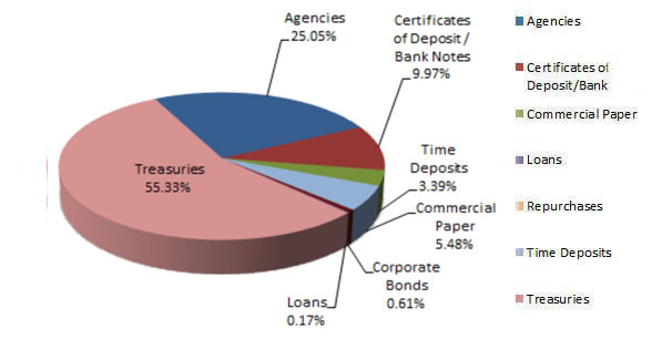 Pie chart showing PMIA portfolio composition
